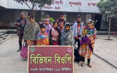 গোমস্তাপুর সীমান্ত দিয়ে পাঁচজনকে পুশ-ইন 
