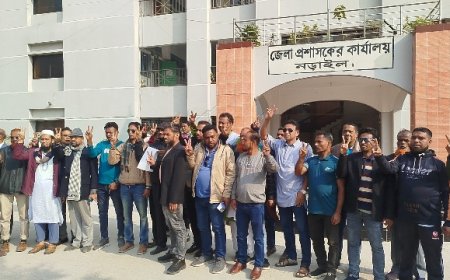 নড়াইল-১ আসনে স্বতন্ত্র প্রার্থী নাগিবের মনোনয়নপত্র সংগ্রহ