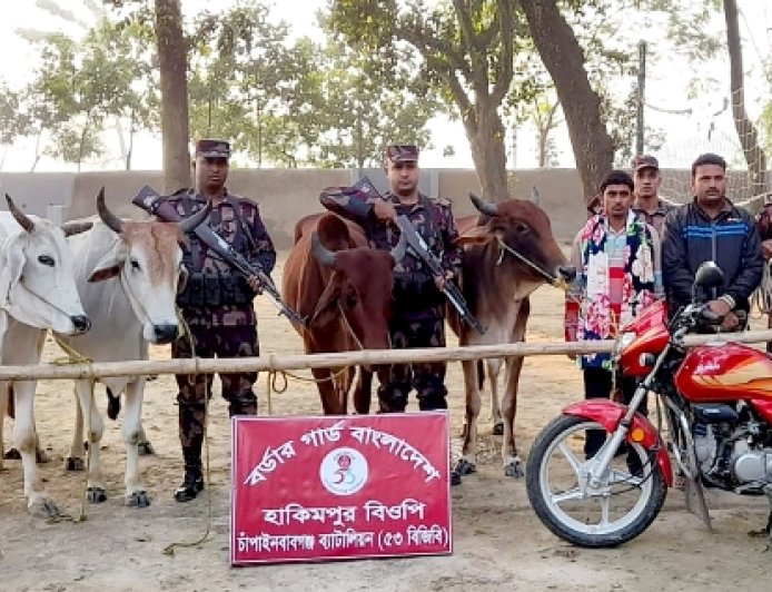 সীমান্তে দুই ভারতীয় গরু চোরাকারবারিসহ আটক ৫