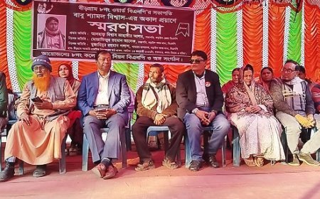 নড়াইলে বিএনপি নেতা শ্যামল বিশ্বাসের স্মরণসভা অনুষ্ঠিত