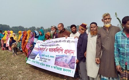 ফসলি জমি দখল করে মাটি ভরাট, বাঁধ ও খননের অভিযোগ