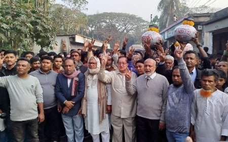 স্বতন্ত্র প্রার্থী নাগিব হোসেনের নির্বাচনী পথসভা ও মিছিল