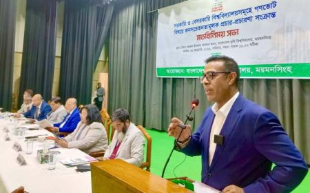 রাষ্ট্রের মূল ব্যাধিটাই সংবিধানের ভেতরে: মনির হায়দার