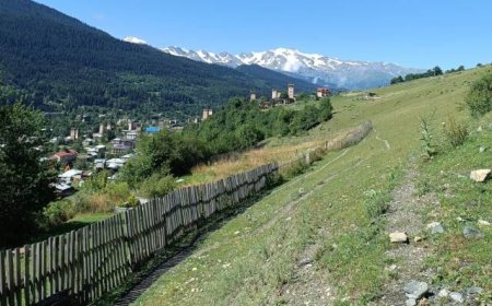 How rejecting European integration could affect Georgia's environment