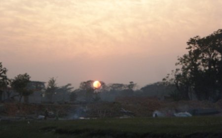 বনশ্রীর চাঁদ