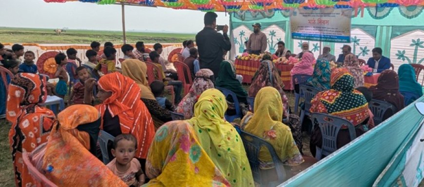 বাকৃবির গবেষণা - হাওরে সরিষা চাষে নতুন সম্ভাবনা