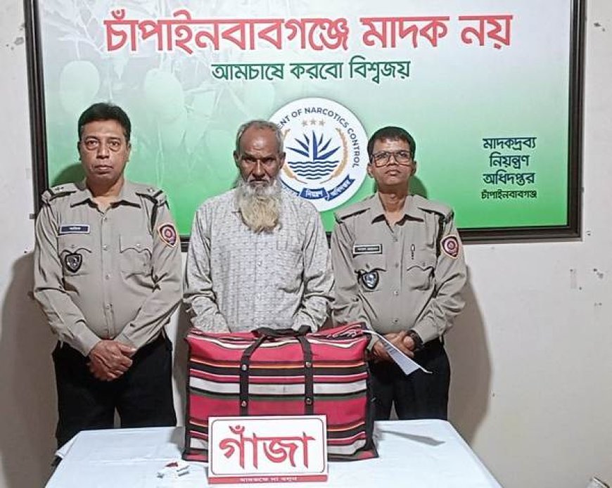 চাঁপাইনবাবগঞ্জে অভিযানে ৬ কেজি গাঁজাসহ আটক একজন