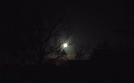 বনশ্রীর চাঁদ