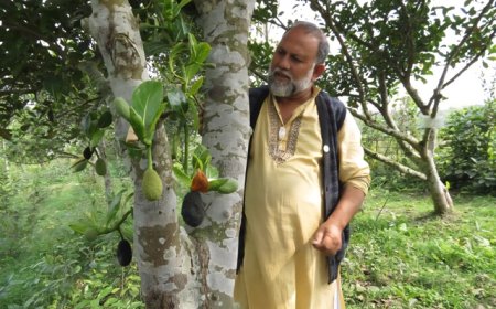 স্বাধীনতা পদকের জন্য মনোনীত বাকৃবির অবসরপ্রাপ্ত অধ্যাপক রহিম