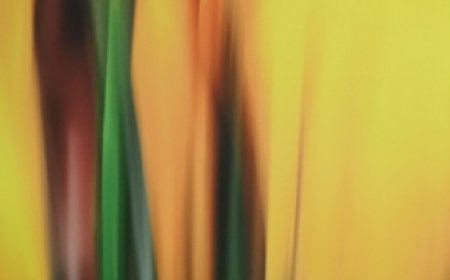 জলরঙে আঁকা ছবি