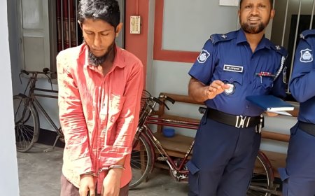 বাকৃবিতে বন্ধ ক্যাম্পাসে চুরির চেষ্টা, আটক একজন