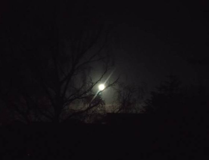 বনশ্রীর চাঁদ