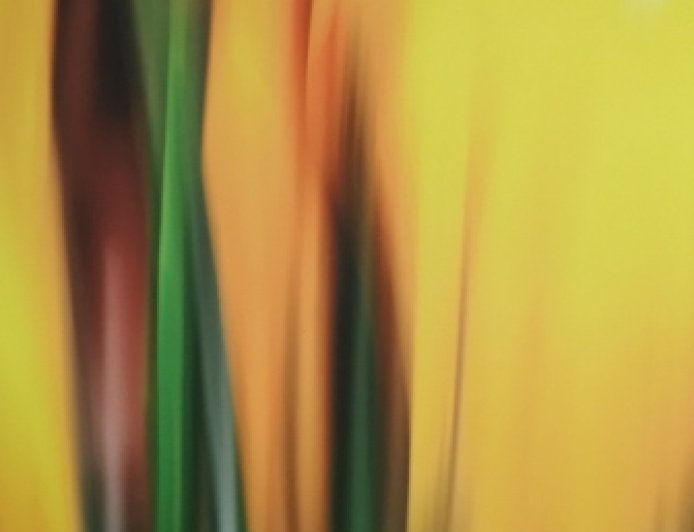 জলরঙে আঁকা ছবি