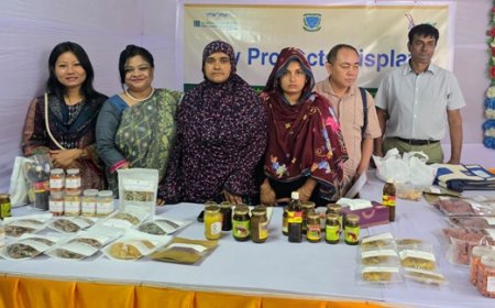 পরিবেশবান্ধব হাইব্রিড ড্রায়ার: কৃষিপণ্যে অপচয় কমানোর নতুন পথ