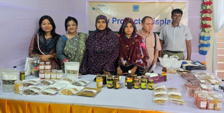 পরিবেশবান্ধব হাইব্রিড ড্রায়ার: কৃষিপণ্যে অপচয় কমানোর নতুন পথ