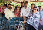 ব্র্যাকের উদ্যোগে হতদরিদ্রদের মাঝে হাঁসের বাচ্চা বিতরণ