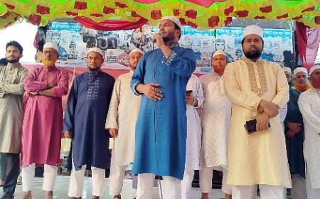 ‘ভোটের পরে গণভোট বঙ্গোপসাগরে ফেলে দিয়েছে সরকার’- বাচ্চু এমপি