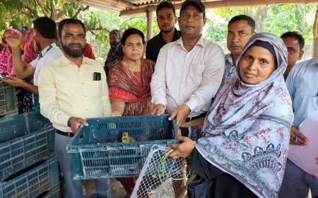 ব্র্যাকের উদ্যোগে হতদরিদ্রদের মাঝে হাঁসের বাচ্চা বিতরণ