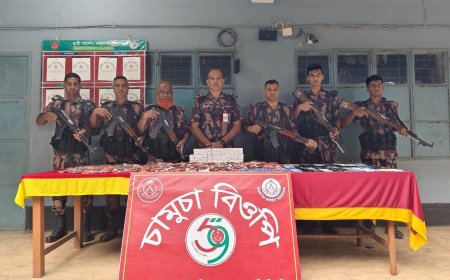 সীমান্তে পৃথক অভিযানে মোবাইল, মাদক ও গরু আটক