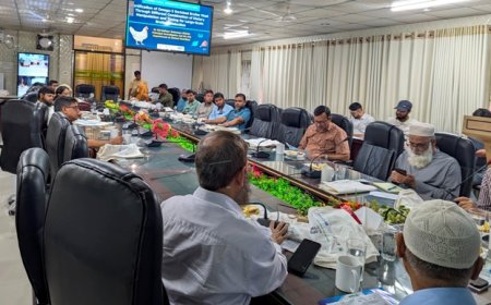 বাকৃবিতে ওমেগা-৩ সমৃদ্ধ ব্রয়লার মাংসের মানোন্নয়নে কর্মশালা