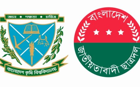ছাত্রদল নেতা মারধরের ২৩ দিনেও জমা হয়নি তদন্ত প্রতিবেদন