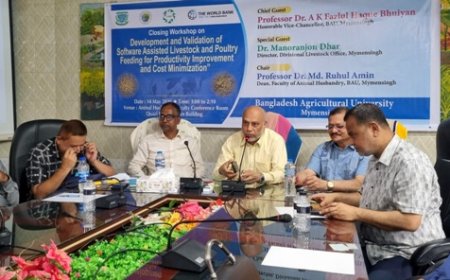 খাদ্য ব্যয় কমাতে স্মার্ট উদ্ভাবন: এআই-ভিত্তিক সফটওয়্যার চালু