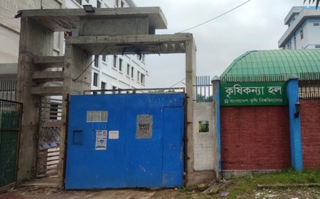 অভিনব কায়দায় বাকৃবিতে একাধিক হলে চুরি, আতঙ্কে শিক্ষার্থীরা 