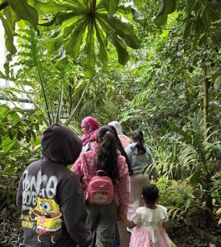 First Children’s Excursion of DAfB e.V. Held at Bonn Botanical Garden