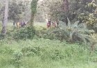 সীমান্তে পুশইনের চেষ্টা করা ২৮ জনকে ফিরিয়ে নিল বিএসএফ
