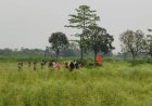 সীমান্তে ২০ জনকে পুশইনের চেষ্টা, বিজিবির বাধায় ব্যর্থ 