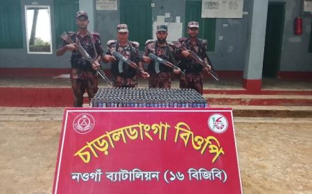চাঁপাইনবাবগঞ্জ সীমান্তে ৪৩০ বোতল ভারতীয় ফেন্সিডিল আটক