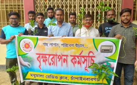 চাঁপাইনবাবগঞ্জ মধুমালা রেডিও ক্লাবের বৃক্ষরোপণ