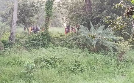 সীমান্তে পুশইনের চেষ্টা করা ২৮ জনকে ফিরিয়ে নিল বিএসএফ