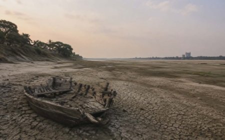 পদ্মা ব্যারেজ: ভবিষ্যৎপরিবেশগত প্রভাব নিয়ে নতুন উদ্বেগ