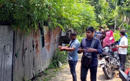 লোহাগড়ায় প্রতিপক্ষের বাড়িঘর ভাঙচুর ও চাঁদা দাবির অভিযোগ