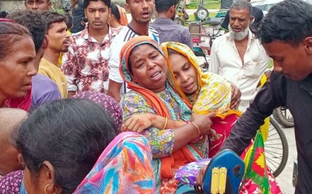 নড়াইলে পুকুরে ডুবে আপন দুই ভাইয়ের মৃত্যু
