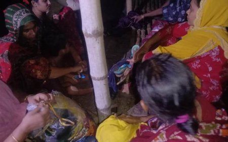 বিএসএফের পুশ-ইনের চেষ্টা প্রতিহত, ১৫ জনকে ফেরত নিলো ভারত