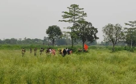সীমান্তে ২০ জনকে পুশইনের চেষ্টা, বিজিবির বাধায় ব্যর্থ 