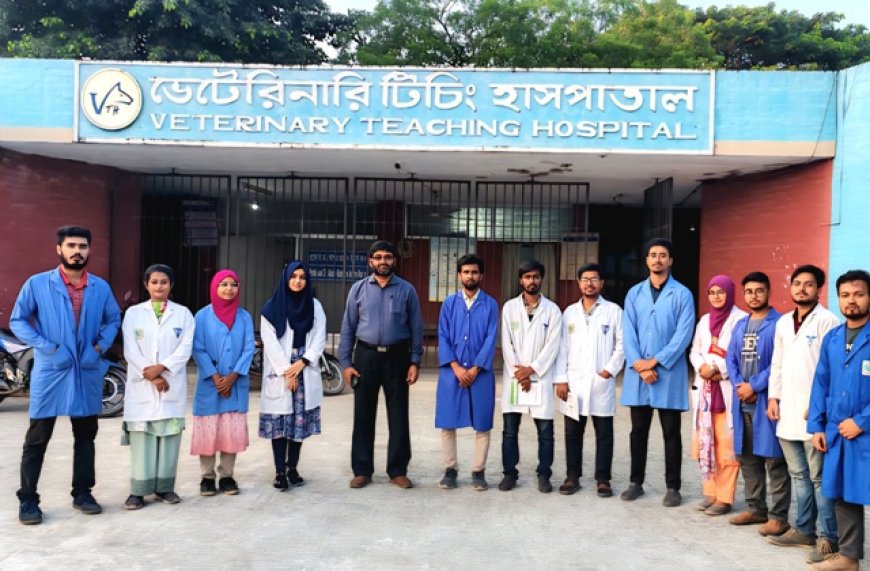 ভেটেরিনারিতে দেশ সেরা, এশিয়ায় ৯২তম বাকৃবি