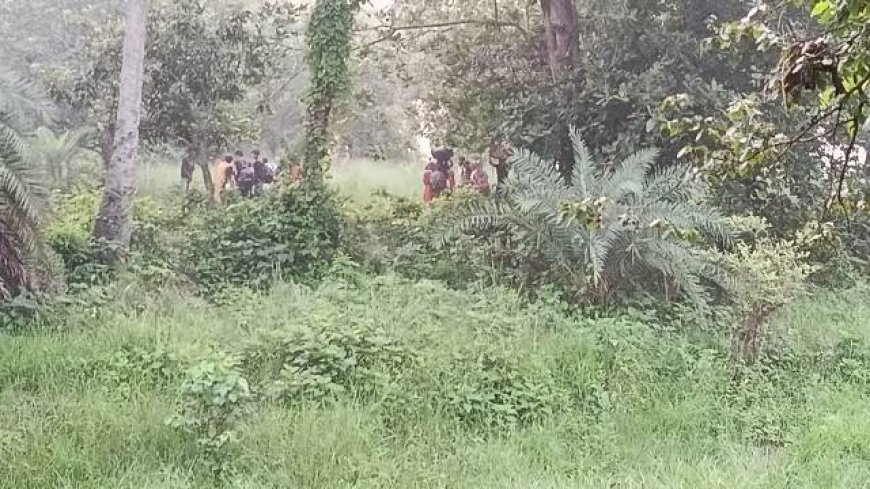 সীমান্তে পুশইনের চেষ্টা করা ২৮ জনকে ফিরিয়ে নিল বিএসএফ