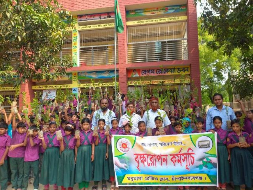 চাঁপাইনবাবগঞ্জ মধুমালা রেডিও ক্লাবের বৃক্ষরোপণ