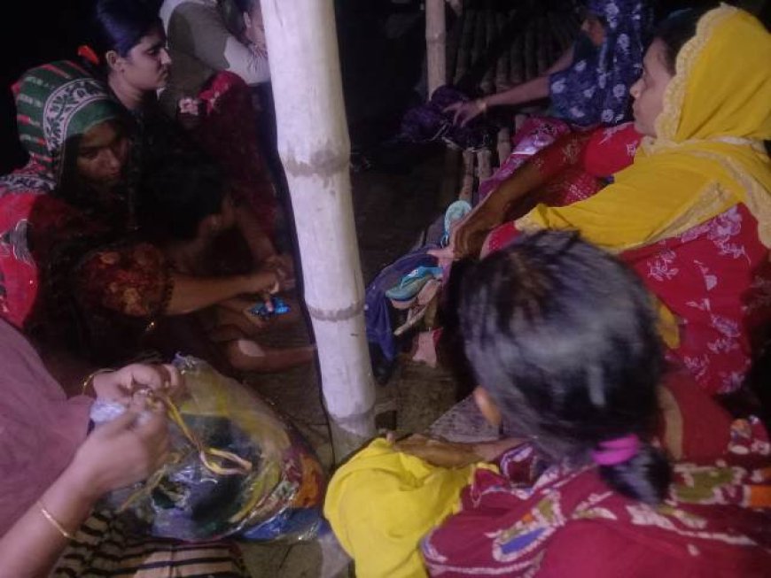 বিএসএফের পুশ-ইনের চেষ্টা প্রতিহত, ১৫ জনকে ফেরত নিলো ভারত