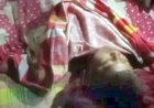 সুতাকাটা ঘুড়ির পেছনে দৌঁড়াতে গিয়ে প্রাণ গেলো স্কুলছাত্রের