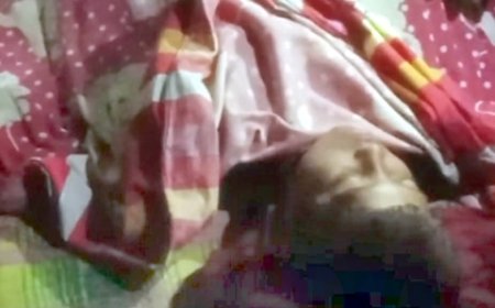 সুতাকাটা ঘুড়ির পেছনে দৌঁড়াতে গিয়ে প্রাণ গেলো স্কুলছাত্রের