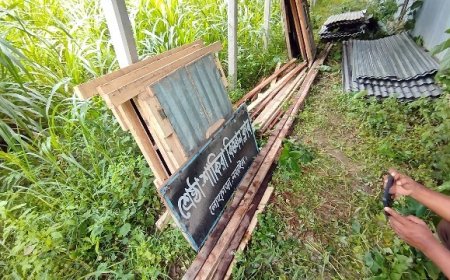 লোহাগড়ায় বাড়িঘর ও বিজ্ঞান ক্লাব ভাঙচুরের অভিযোগ